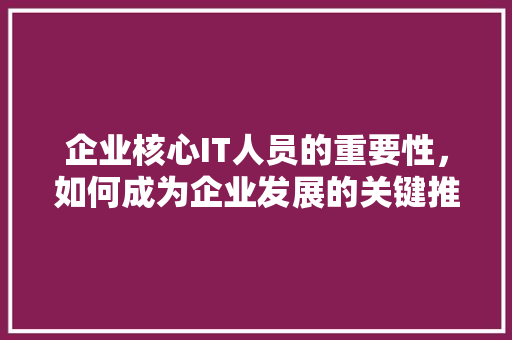 企业核心IT人员的重要性，如何成为企业发展的关键推动力
