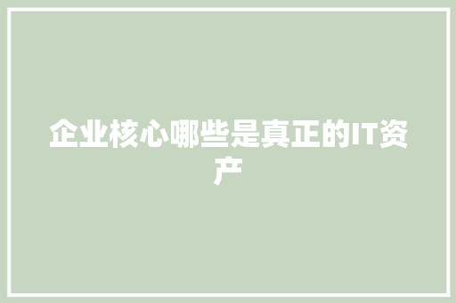 企业核心哪些是真正的IT资产