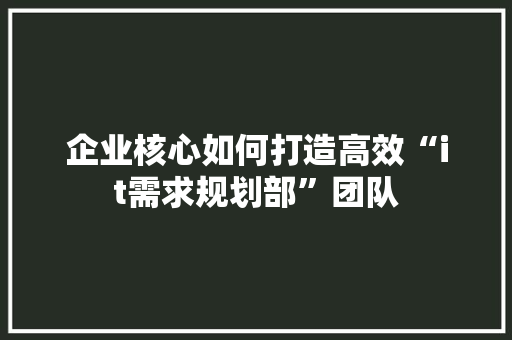 企业核心如何打造高效“it需求规划部”团队 头条优化