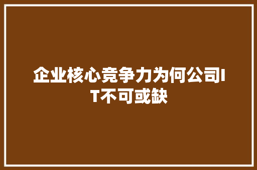 企业核心竞争力为何公司IT不可或缺
