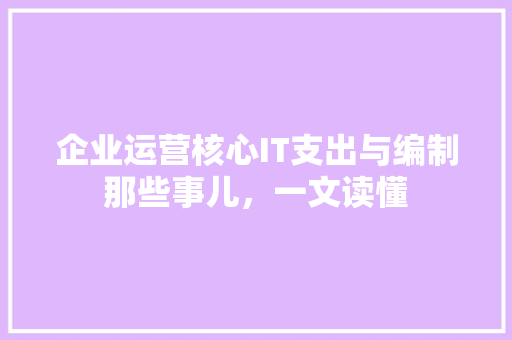 企业运营核心IT支出与编制那些事儿，一文读懂