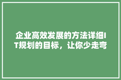 企业高效发展的方法详细IT规划的目标，让你少走弯路！