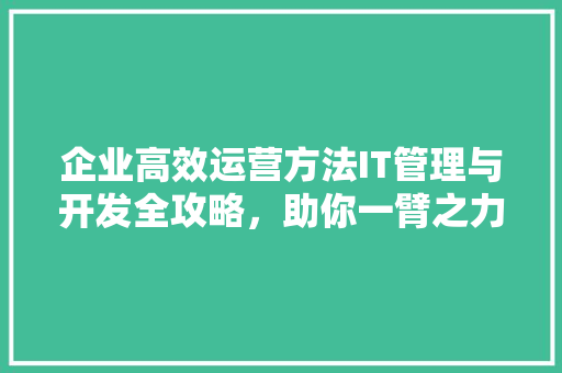 企业高效运营方法IT管理与开发全攻略，助你一臂之力！ 网站开发