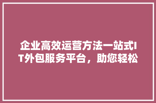 企业高效运营方法一站式IT外包服务平台，助您轻松提升竞争力！ 网站开发