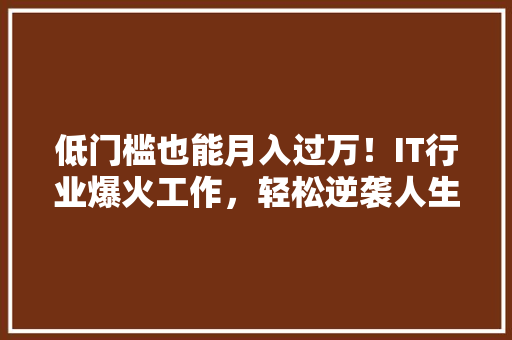 低门槛也能月入过万！IT行业爆火工作，轻松逆袭人生
