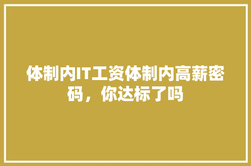 体制内IT工资体制内高薪密码，你达标了吗