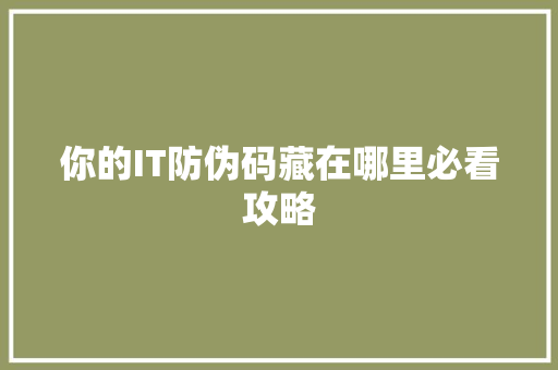 你的IT防伪码藏在哪里必看攻略