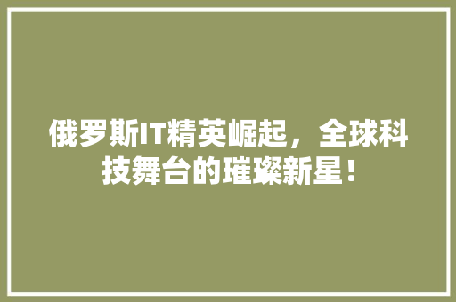 俄罗斯IT精英崛起，全球科技舞台的璀璨新星！