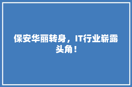 保安华丽转身，IT行业崭露头角！