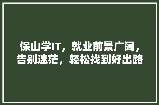 保山学IT，就业前景广阔，告别迷茫，轻松找到好出路！ seo技术