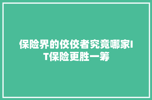 保险界的佼佼者究竟哪家IT保险更胜一筹