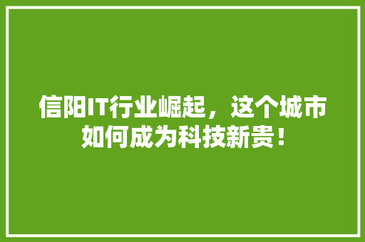 信阳IT行业崛起，这个城市如何成为科技新贵！