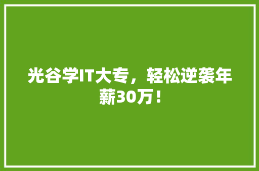 光谷学IT大专，轻松逆袭年薪30万！ 网站开发