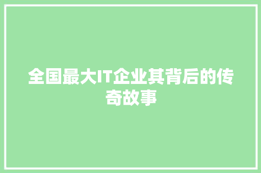 全国最大IT企业其背后的传奇故事