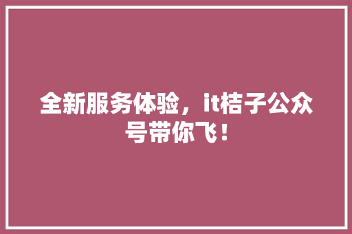 全新服务体验，it桔子公众号带你飞！