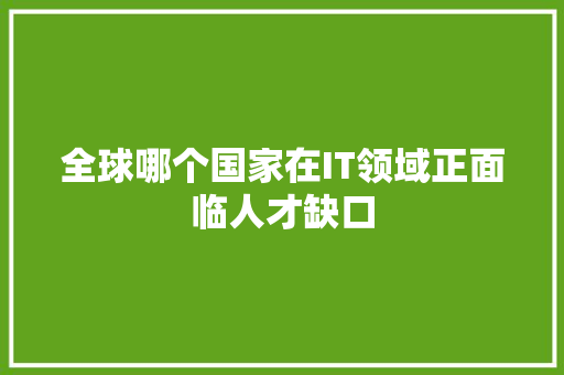 全球哪个国家在IT领域正面临人才缺口