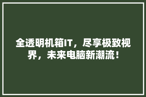 全透明机箱IT，尽享极致视界，未来电脑新潮流！