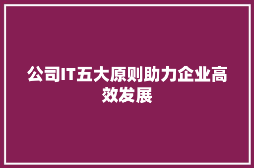 公司IT五大原则助力企业高效发展 搜狗优化