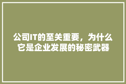 公司IT的至关重要，为什么它是企业发展的秘密武器 网站优化