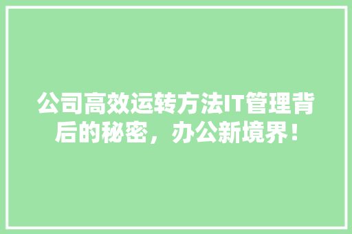 公司高效运转方法IT管理背后的秘密，办公新境界！