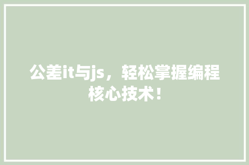 公差it与js，轻松掌握编程核心技术！ 网站优化