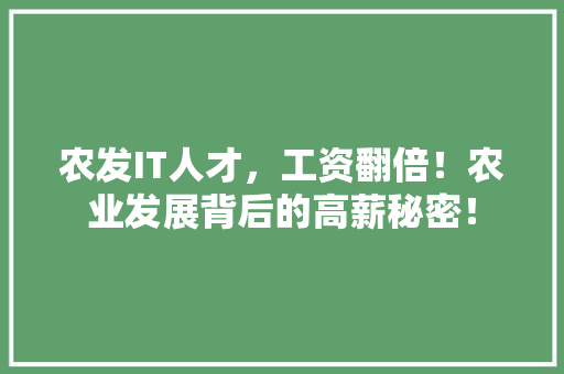 农发IT人才，工资翻倍！农业发展背后的高薪秘密！