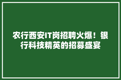 农行西安IT岗招聘火爆！银行科技精英的招募盛宴 seo技术