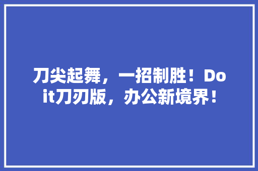 刀尖起舞，一招制胜！Doit刀刃版，办公新境界！ 网站开发