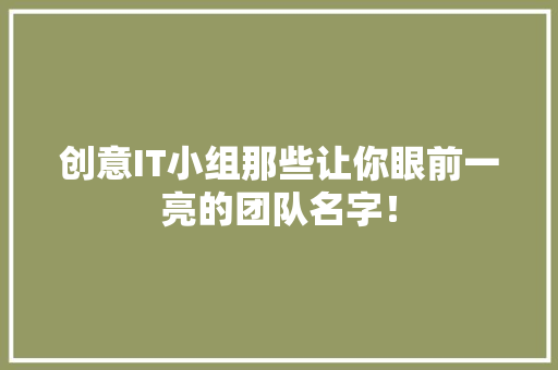 创意IT小组那些让你眼前一亮的团队名字！