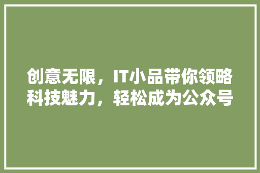 创意无限，IT小品带你领略科技魅力，轻松成为公众号爆款！ 英文谷歌算法