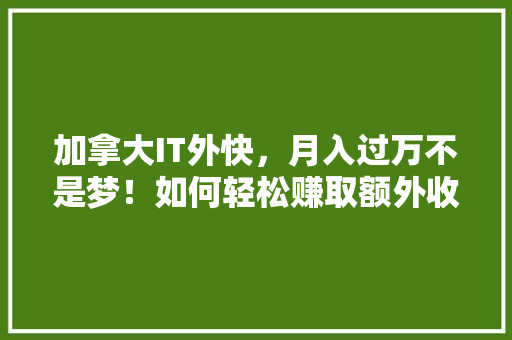 加拿大IT外快，月入过万不是梦！如何轻松赚取额外收入！