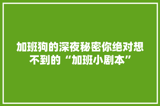 加班狗的深夜秘密你绝对想不到的“加班小剧本”