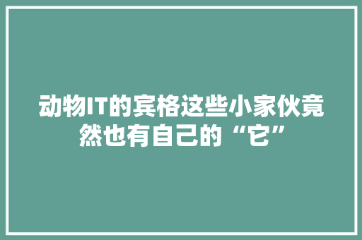动物IT的宾格这些小家伙竟然也有自己的“它”