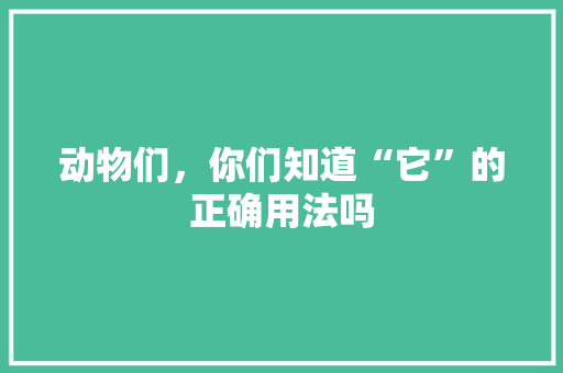 动物们，你们知道“它”的正确用法吗