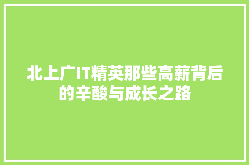 北上广IT精英那些高薪背后的辛酸与成长之路