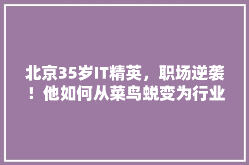 北京35岁IT精英，职场逆袭！他如何从菜鸟蜕变为行业翘楚！