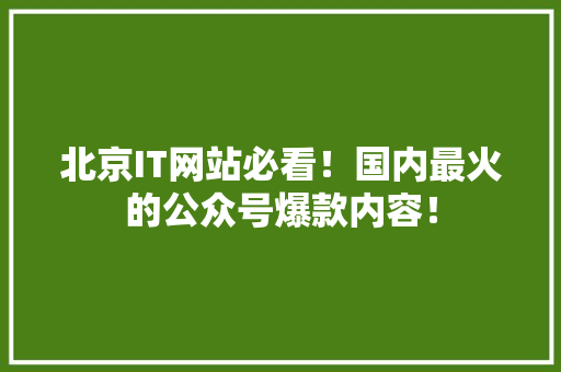 北京IT网站必看！国内最火的公众号爆款内容！ 头条优化