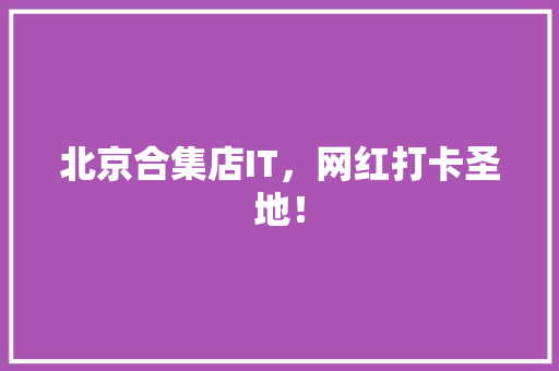 北京合集店IT，网红打卡圣地！ 网站开发