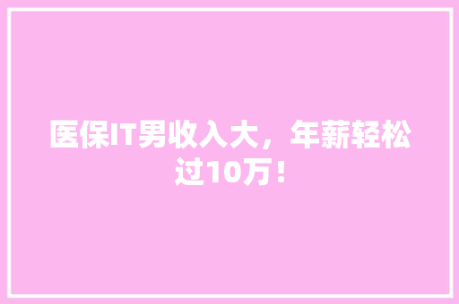 医保IT男收入大，年薪轻松过10万！
