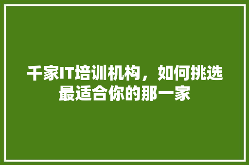 千家IT培训机构，如何挑选最适合你的那一家