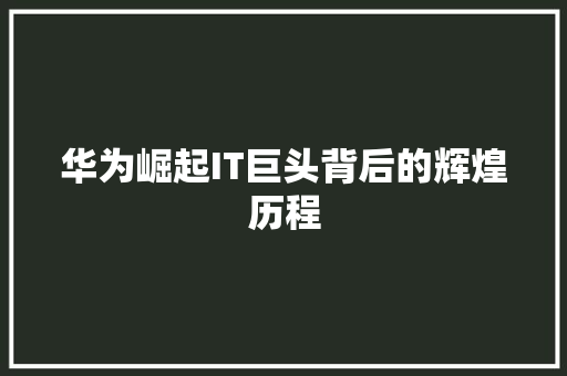 华为崛起IT巨头背后的辉煌历程
