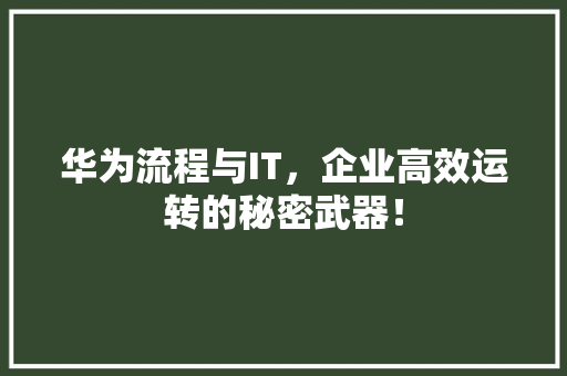华为流程与IT，企业高效运转的秘密武器！