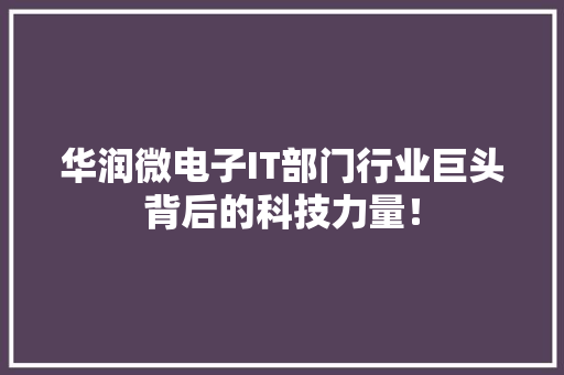 华润微电子IT部门行业巨头背后的科技力量！