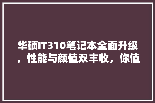 华硕IT310笔记本全面升级，性能与颜值双丰收，你值得拥有！