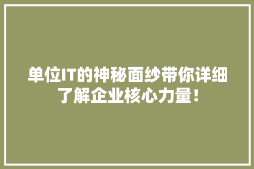 单位IT的神秘面纱带你详细了解企业核心力量！