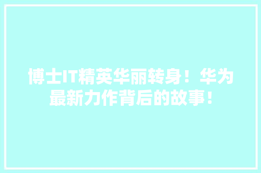博士IT精英华丽转身！华为最新力作背后的故事！ 360搜优化