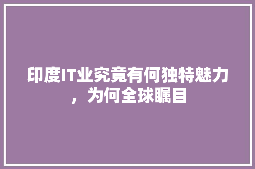 印度IT业究竟有何独特魅力，为何全球瞩目