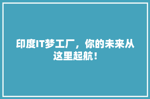 印度IT梦工厂，你的未来从这里起航！ seo技术