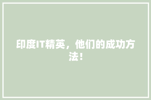 印度IT精英，他们的成功方法！