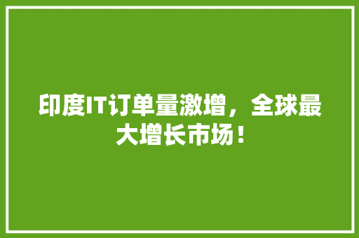 印度IT订单量激增，全球最大增长市场！ 百度算法
